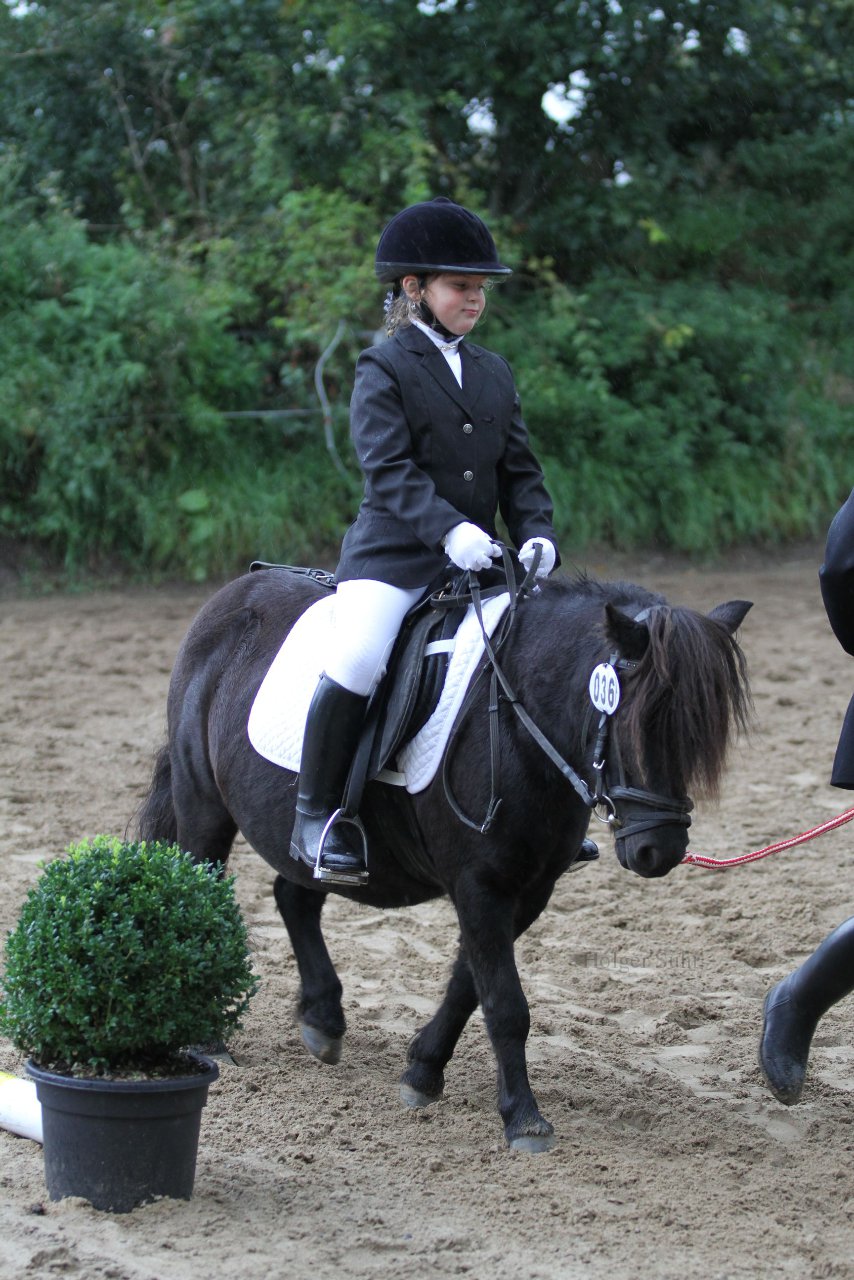 Bild 541 - WBO-Turnier am 18.9.11